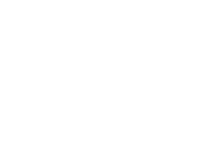 Style Factory